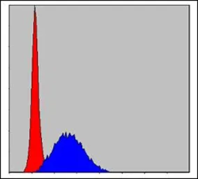 Anti-MCM2 antibody [2B3] used in Flow cytometry (FCM). GTX60491