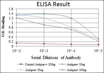 Anti-TCP1 beta antibody [5B5F5] used in ELISA (ELISA). GTX60497