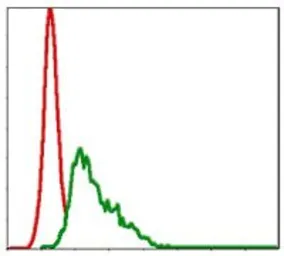 Anti-UBE2I antibody [1B10] used in Flow cytometry (FCM). GTX60512