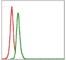 Anti-Src antibody [1F11] used in Flow cytometry (FCM). GTX60521