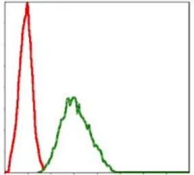 Anti-NQO1 antibody [4D12] used in Flow cytometry (FCM). GTX60523