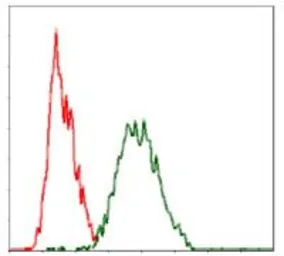 Anti-Raf1 antibody [4G4] used in Flow cytometry (FCM). GTX60556
