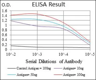 Anti-FOXO1 antibody [3B6] used in ELISA (ELISA). GTX60558