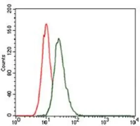 Anti-LRP5 antibody [2B11] used in Flow cytometry (FCM). GTX60567