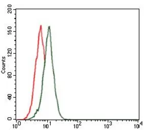 Anti-Fibronectin antibody [2F4G2] used in Flow cytometry (FCM). GTX60571