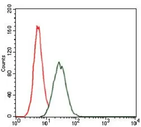 Anti-RAP1A antibody [5F8G2] used in Flow cytometry (FCM). GTX60586