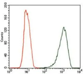 Anti-iNOS antibody [4E5] used in Flow cytometry (FCM). GTX60599