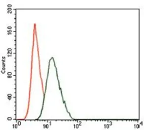 Anti-PI3 kinase p85 alpha antibody [8C11] used in Flow cytometry (FCM). GTX60634