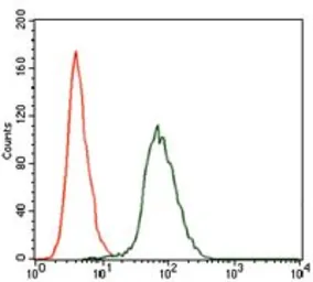 Anti-CSNK2A2 antibody [1E1] used in Flow cytometry (FCM). GTX60636