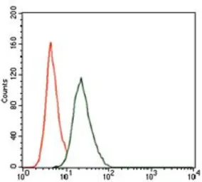 Anti-RUNX3 antibody [2B3] used in Flow cytometry (FCM). GTX60639