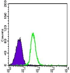 Anti-VE-Cadherin antibody [3D5C7] used in Flow cytometry (FCM). GTX60676