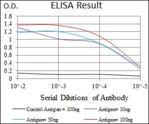 Anti-CLGN antibody [9C8G10] used in ELISA (ELISA). GTX60730