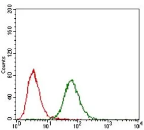 Anti-FGF4 antibody [2D7D5] used in Flow cytometry (FCM). GTX60747