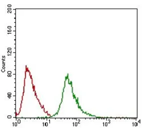 Anti-Ring1 antibody [8C12F4] used in Flow cytometry (FCM). GTX60753