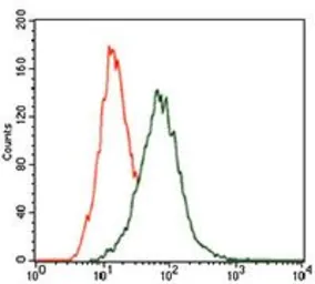 Anti-p38 MAPK antibody [8G4D11] used in Flow cytometry (FCM). GTX60771