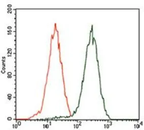 Anti-GATA6 antibody [2F10G3] used in Flow cytometry (FCM). GTX60772