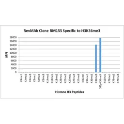 Anti-Histone H3K36me3 (Tri-methyl Lys36) antibody [RM155] used in  (). GTX60882