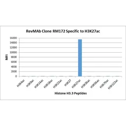 Anti-Histone H3K27ac (Acetyl Lys27) antibody [RM172] used in  (). GTX60887