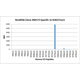Anti-Histone H3K27me3 (Tri-methyl Lys27) antibody [RM175] used in  (). GTX60892