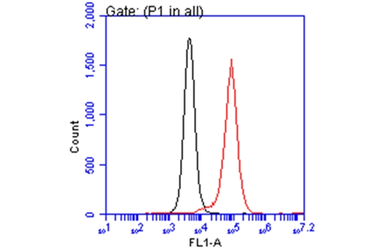 Anti-ARID5A antibody [GT921] used in Flow cytometry (FCM). GTX631938