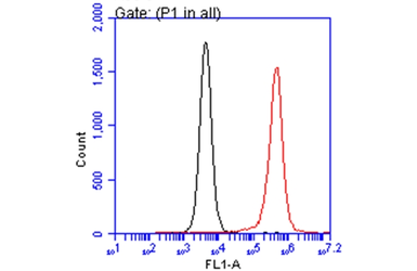Anti-ARID5A antibody [GT18112] used in Flow cytometry (FCM). GTX631940