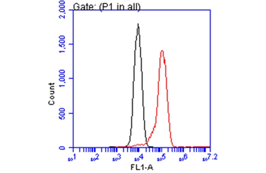Anti-ATP6V1A antibody [GT1561] used in Flow cytometry (FCM). GTX633544