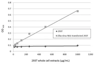 Anti-Zika virus NS1 protein antibody [GT5212] used in ELISA (ELISA). GTX634158