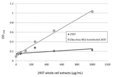 Anti-Zika virus NS1 protein antibody [GT5212] used in ELISA (ELISA). GTX634158