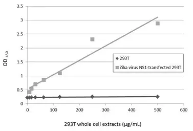 Anti-Zika virus NS1 protein antibody [GT5212] used in ELISA (ELISA). GTX634158