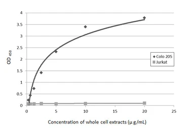 Anti-CA19-9 antibody [GT8510] used in ELISA (ELISA). GTX635391