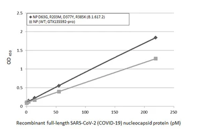 Anti-SARS-CoV-2 (COVID-19) Nucleocapsid antibody [HL448] used in ELISA (ELISA). GTX635686