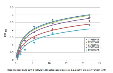 Anti-SARS-CoV-2 (COVID-19) Nucleocapsid antibody [HL448] used in ELISA (ELISA). GTX635686