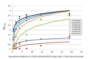 Anti-SARS-CoV-2 (COVID-19) Spike S2 antibody [HL237] used in ELISA (ELISA). GTX635693
