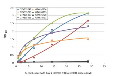 Anti-SARS-CoV-2 (COVID-19) Spike RBD antibody [HL1002] used in ELISA (ELISA). GTX635791