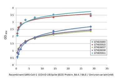 Anti-SARS-CoV-2 (COVID-19) Spike S2 antibody [HL1038] used in ELISA (ELISA). GTX635910