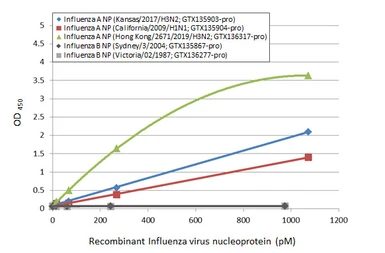 Anti-Influenza A virus Nucleoprotein antibody [HL1078] used in ELISA (ELISA). GTX636199