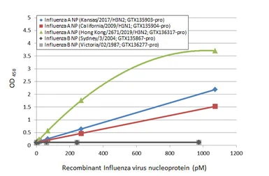 Anti-Influenza A virus Nucleoprotein antibody [HL1103] used in ELISA (ELISA). GTX636318