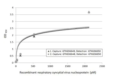 Anti-Respiratory Syncytial virus Nucleoprotein antibody [HL1248] used in ELISA (ELISA). GTX636650