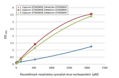 Anti-Respiratory Syncytial virus Nucleoprotein antibody [HL1248] used in ELISA (ELISA). GTX636650