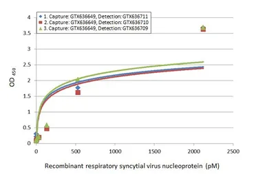 Anti-Respiratory Syncytial virus type A Nucleoprotein antibody [HL1297] used in ELISA (ELISA). GTX636711