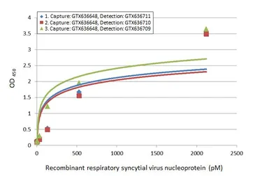 Anti-Respiratory Syncytial virus type A Nucleoprotein antibody [HL1297] used in ELISA (ELISA). GTX636711