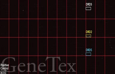Anti-Dopamine Receptor D2 antibody [HL1478] used in Functional Assay (Functional Assay). GTX636952