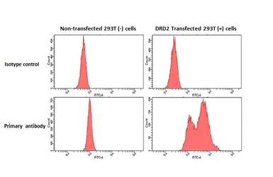 Anti-Dopamine Receptor D2 antibody [HL1478] used in Flow cytometry (FCM). GTX636952
