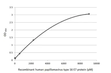 Anti-Human Papillomavirus type 16 E7 antibody [HL1821] used in ELISA (ELISA). GTX637546