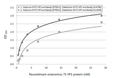 Anti-Enterovirus 71 VP1 antibody [HL1929] used in ELISA (ELISA). GTX637688