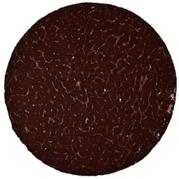Anti-C-Peptide antibody [HMV363] HistoMAX&trade; used in IHC (Paraffin sections) (IHC-P). GTX639928