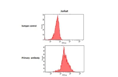 Anti-CXCR6 antibody [HL2849] used in Flow cytometry (FCM). GTX640120