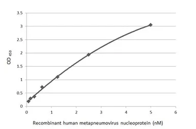 Anti-Human metapneumovirus Nucleoprotein antibody [HL2919] used in ELISA (ELISA). GTX640262