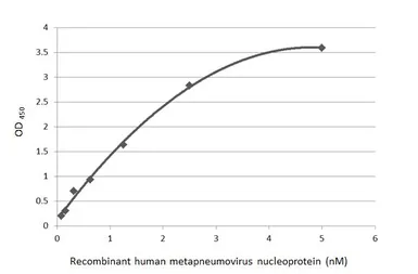 Anti-Human metapneumovirus Nucleoprotein antibody [HL2919] used in ELISA (ELISA). GTX640262