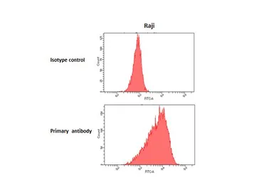 Anti-CCR7 antibody [HL3074] used in Flow cytometry (FCM). GTX640520
